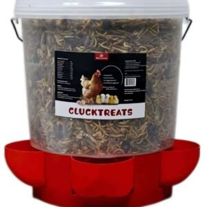 CluckTreats™ Premium 4-Insect Protein Blend Chicken Treat & Feeder