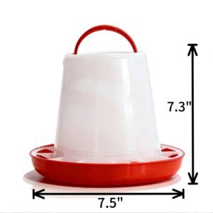 Zenithworks Chicken Feeder 3LB